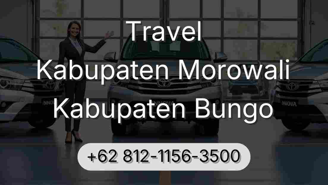 Travel Kabupaten Morowali Kabupaten Bungo