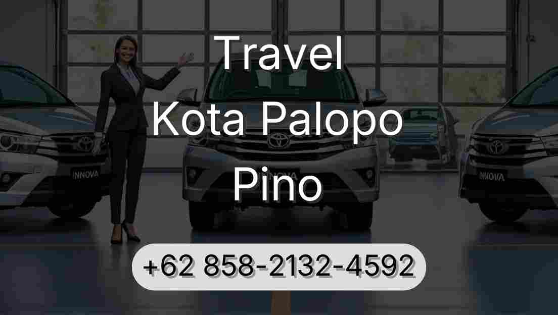 Travel Kota Palopo Pino