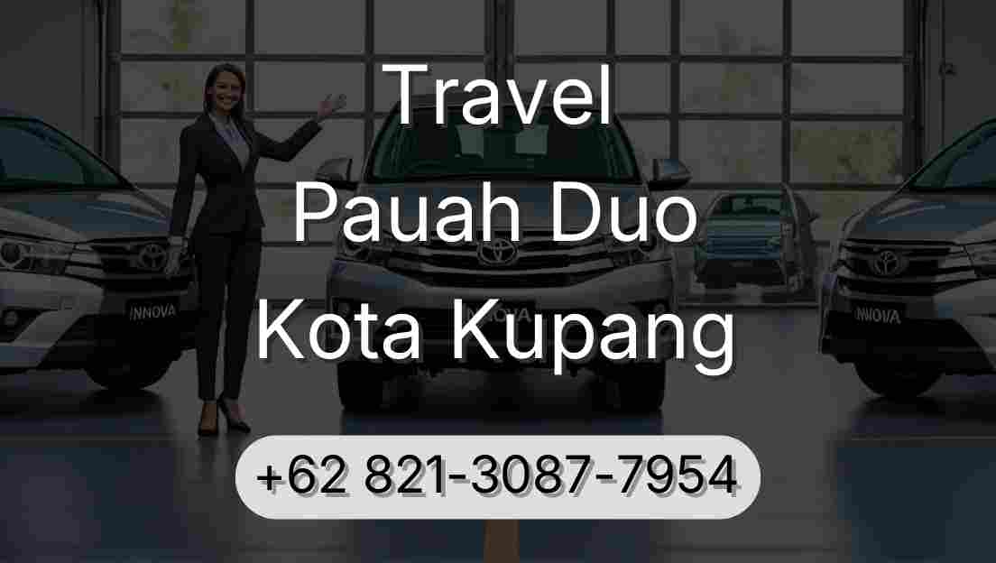 Travel Pauah Duo Kota Kupang