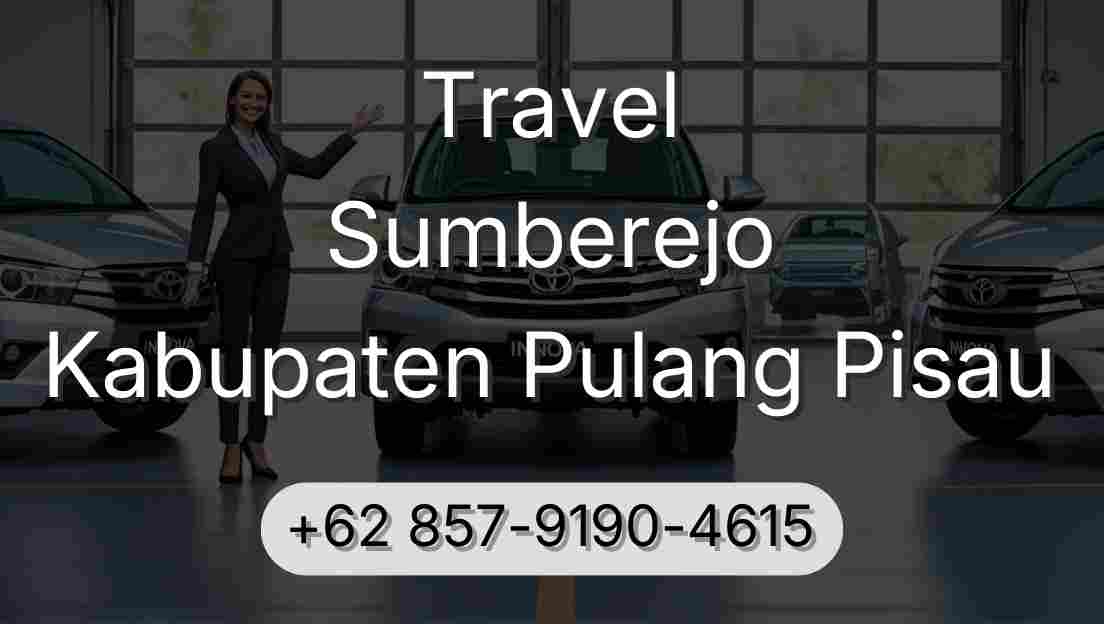 Travel Sumberejo Kabupaten Pulang Pisau